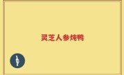 灵芝人参炖鸭
