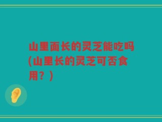 山里面长的灵芝能吃吗(山里长的灵芝可否食用？)