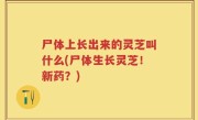 尸体上长出来的灵芝叫什么(尸体生长灵芝！新药？)