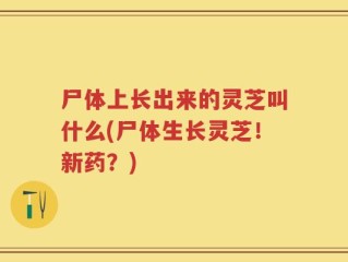 尸体上长出来的灵芝叫什么(尸体生长灵芝！新药？)