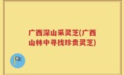 广西深山采灵芝(广西山林中寻找珍贵灵芝)