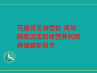 可磨灵芝破壁机 高效研磨灵芝释放营养的厨房健康新帮手