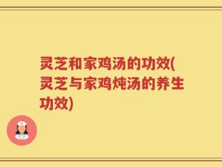 灵芝和家鸡汤的功效(灵芝与家鸡炖汤的养生功效)