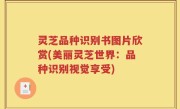 灵芝品种识别书图片欣赏(美丽灵芝世界：品种识别视觉享受)