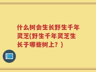 什么树会生长野生千年灵芝(野生千年灵芝生长于哪些树上？)
