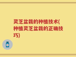 灵芝盆栽的种植技术(种植灵芝盆栽的正确技巧)
