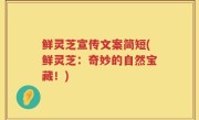 鲜灵芝宣传文案简短(鲜灵芝：奇妙的自然宝藏！)