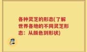 各种灵芝的形态(了解世界各地的不同灵芝形态：从颜色到形状)