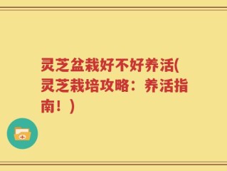 灵芝盆栽好不好养活(灵芝栽培攻略：养活指南！)