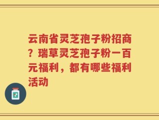 云南省灵芝孢子粉招商？瑞草灵芝孢子粉一百元福利，都有哪些福利活动