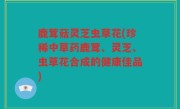 鹿茸菇灵芝虫草花(珍稀中草药鹿茸、灵芝、虫草花合成的健康佳品)