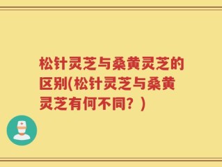 松针灵芝与桑黄灵芝的区别(松针灵芝与桑黄灵芝有何不同？)
