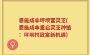 恩施咸丰坪坝营灵芝(恩施咸丰重启灵芝种植：坪坝村致富新机遇)