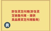 野生灵芝代理(野生灵芝销售代理 - 提供高品质灵芝代理服务)