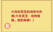 六月份灵芝的功效与作用(六月灵芝：功效增强，抵抗疾病！)