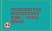 何灵芝黑灵芝首乌洗发露(何灵芝黑灵芝首乌洗发露——呵护秀发，照顾头皮)