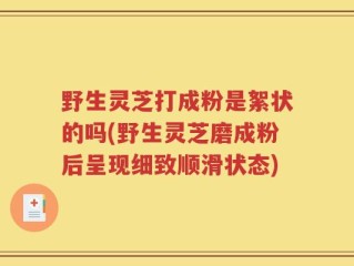 野生灵芝打成粉是絮状的吗(野生灵芝磨成粉后呈现细致顺滑状态)