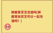 鲜鹿茸灵芝泡酒吗(鲜鹿茸和灵芝可以一起泡酒吗？)