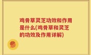 鸡骨草灵芝功效和作用是什么(鸡骨草和灵芝的功效及作用详解)