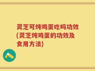 灵芝可炖鸡蛋吃吗功效(灵芝炖鸡蛋的功效及食用方法)