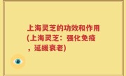 上海灵芝的功效和作用(上海灵芝：强化免疫，延缓衰老)