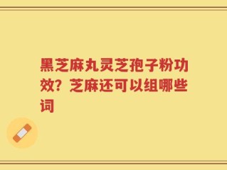 黑芝麻丸灵芝孢子粉功效？芝麻还可以组哪些词