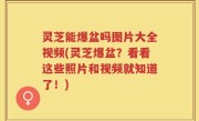 灵芝能爆盆吗图片大全视频(灵芝爆盆？看看这些照片和视频就知道了！)