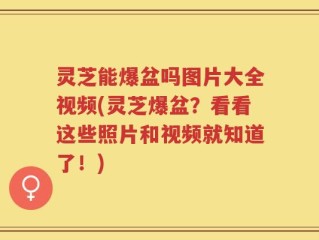 灵芝能爆盆吗图片大全视频(灵芝爆盆？看看这些照片和视频就知道了！)