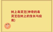 树上毒灵芝(神奇的毒灵芝在树上的生长与应用)