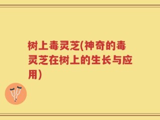 树上毒灵芝(神奇的毒灵芝在树上的生长与应用)