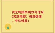 灵芝鸭脚的功效与作用(灵芝鸭脚：强身健体，养生佳品！