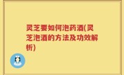灵芝要如何泡药酒(灵芝泡酒的方法及功效解析)
