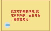 灵芝石斛炖鸭功效(灵芝石斛炖鸭：滋补养生，提高免疫力)