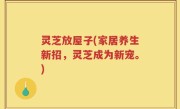 灵芝放屋子(家居养生新招，灵芝成为新宠。)