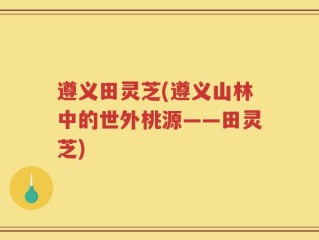 遵义田灵芝(遵义山林中的世外桃源——田灵芝)