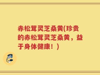 赤松茸灵芝桑黄(珍贵的赤松茸灵芝桑黄，益于身体健康！)