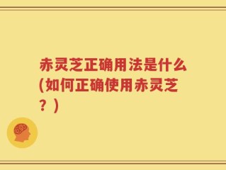赤灵芝正确用法是什么(如何正确使用赤灵芝？)