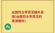 山西烈士李灵芝图片高清(山西烈士李灵芝的高清图片)
