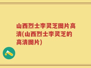 山西烈士李灵芝图片高清(山西烈士李灵芝的高清图片)