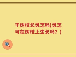 干树枝长灵芝吗(灵芝可在树枝上生长吗？)