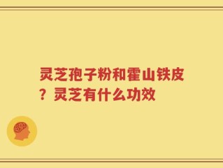 灵芝孢子粉和霍山铁皮？灵芝有什么功效