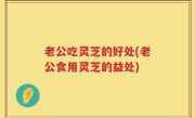 老公吃灵芝的好处(老公食用灵芝的益处)