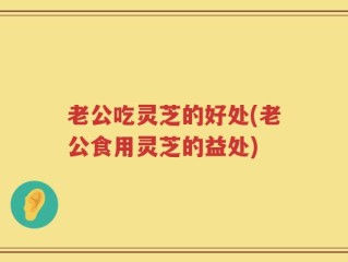 老公吃灵芝的好处(老公食用灵芝的益处)
