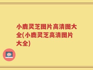 小鹿灵芝图片高清图大全(小鹿灵芝高清图片大全)