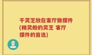 干灵芝放在客厅做摆件(精灵般的灵芝 客厅摆件的首选)