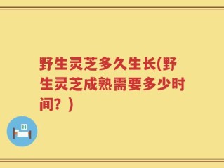 野生灵芝多久生长(野生灵芝成熟需要多少时间？)