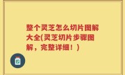 整个灵芝怎么切片图解大全(灵芝切片步骤图解，完整详细！)