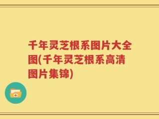 千年灵芝根系图片大全图(千年灵芝根系高清图片集锦)
