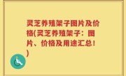 灵芝养殖架子图片及价格(灵芝养殖架子：图片、价格及用途汇总！)