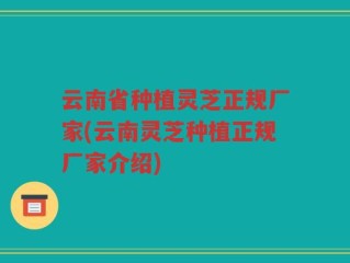 云南省种植灵芝正规厂家(云南灵芝种植正规厂家介绍)